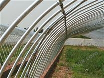 鋼管骨架大棚 組裝式大棚骨架