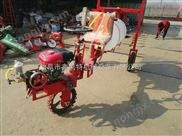 3輪打藥機  物業綠化噴霧機 風送式果園打藥機 多功能噴藥機 全自動農用打藥機