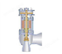 高压安全阀，带碟形弹簧