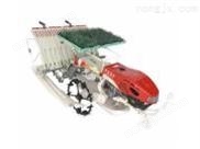 常发2ZS-4手扶步进式水稻插秧机