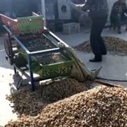 豆类清理去杂去石机 麦子去糠除杂机 黄豆***电动筛选机